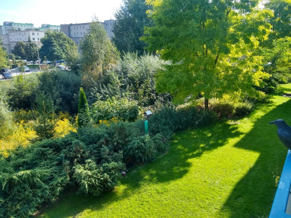 Green Apartment Z Bezplatnym Parkingiem Olsztyn  Kültér fotó