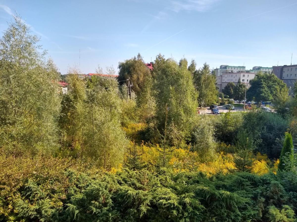 Green Apartment Z Bezplatnym Parkingiem Olsztyn  Kültér fotó